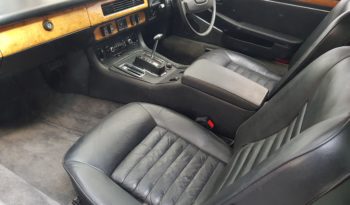 Jaguar XJS 5.3 283CV V12 ISCRITTA ASI completo