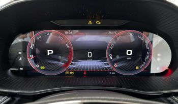 Skoda Fabia 1.0 tsi evo Monte Carlo 110CV DSG completo