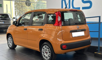 Fiat Panda 1.2 Easy S&S 69CV NEOPATENTATI completo