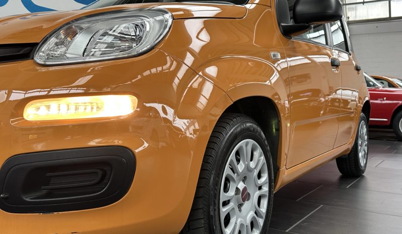 Fiat Panda 1.2 Easy S&S 69CV NEOPATENTATI completo