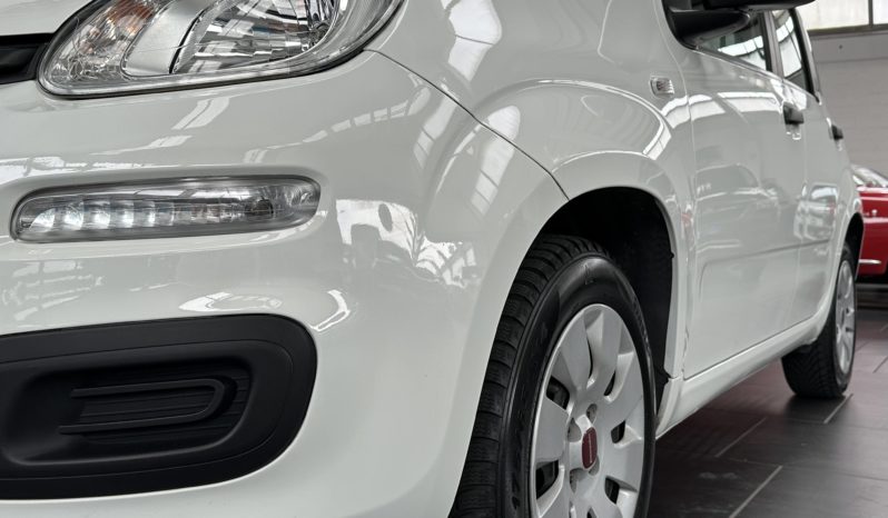 Fiat Panda 1.2 Pop S&S 69CV NEOPATENTATI completo