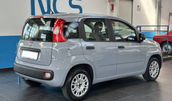 Fiat Panda 1.2 Easy 69CV NEOPATENTATI completo