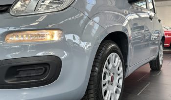Fiat Panda 1.2 Easy 69CV NEOPATENTATI completo