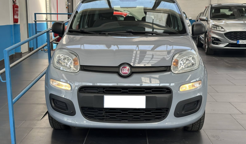 Fiat Panda 1.2 Easy 69CV NEOPATENTATI completo