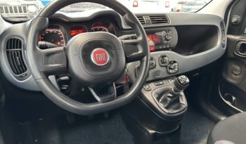 Fiat Panda 1.2 Easy S&S 69CV NEOPATENTATI completo