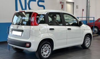 Fiat Panda 1.2 Easy S&S 69CV NEOPATENTATI completo