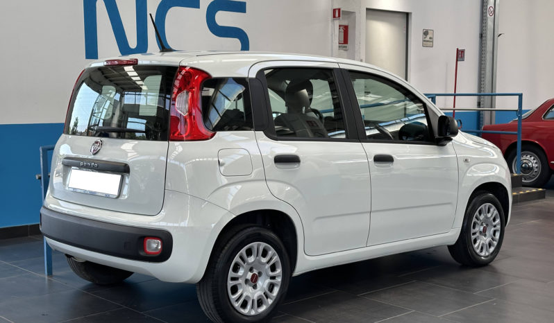 Fiat Panda 1.2 Easy S&S 69CV NEOPATENTATI completo