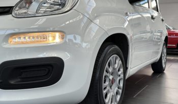 Fiat Panda 1.2 Easy S&S 69CV NEOPATENTATI completo