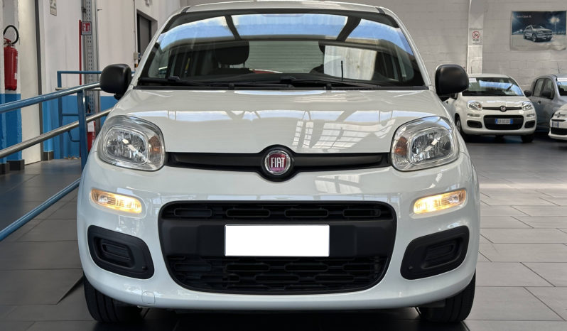 Fiat Panda 1.2 Easy S&S 69CV NEOPATENTATI completo