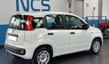Fiat Panda 1.2 Easy S&S NEOPATENTATI completo