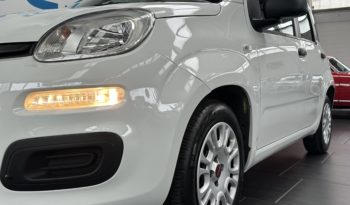 Fiat Panda 1.2 Easy S&S NEOPATENTATI completo