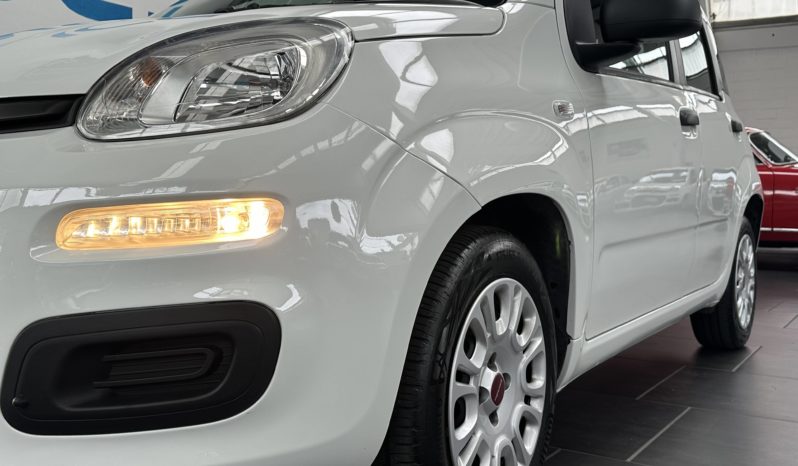 Fiat Panda 1.2 Easy S&S NEOPATENTATI completo